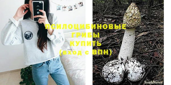 прущий лед Аркадак