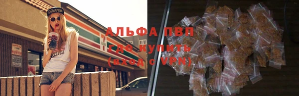 кокс Арсеньев