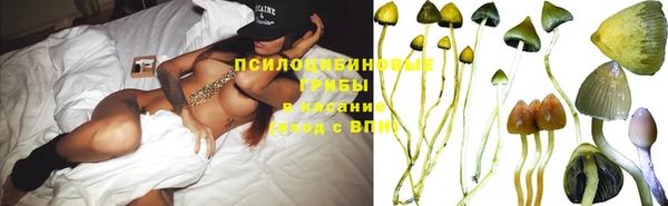 дживик Армянск