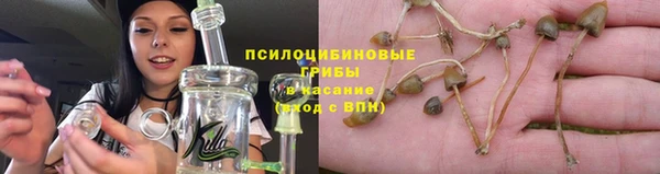 дживик Армянск
